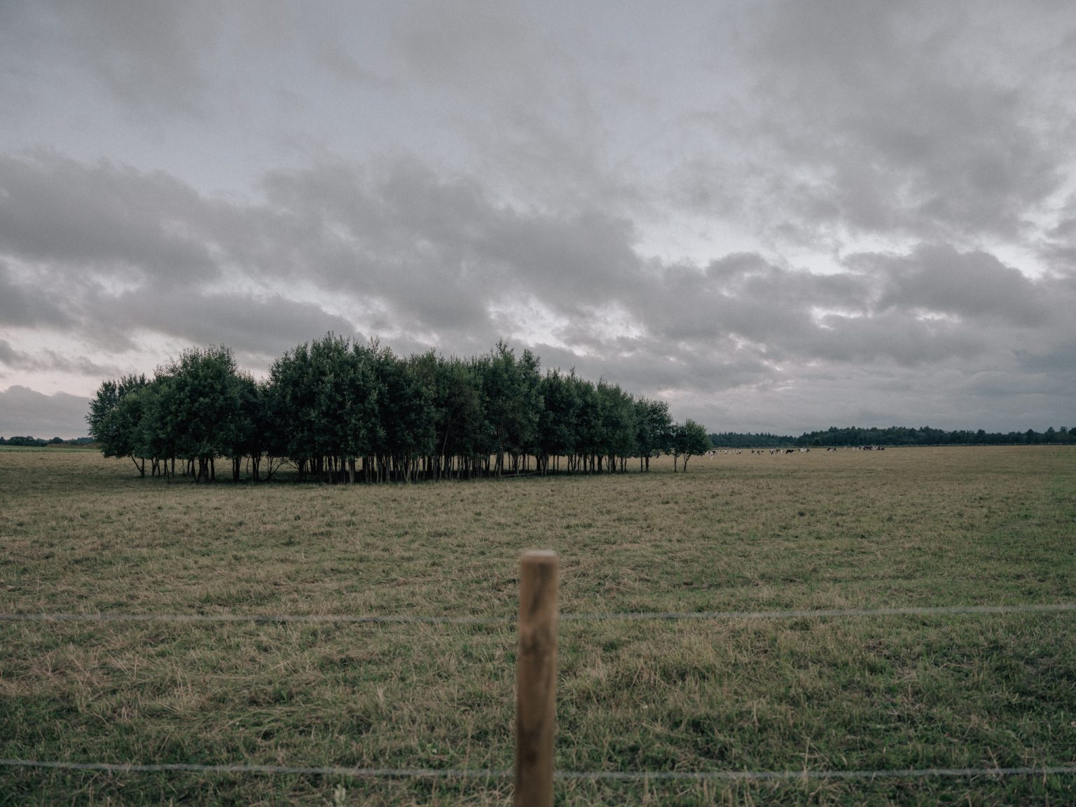 from home to home personal project shot with Fujifilm GFX