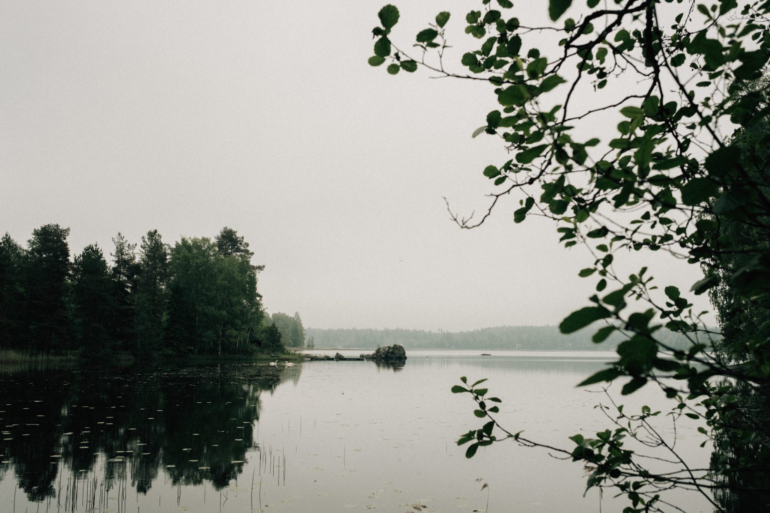 midsummer wedding in finland