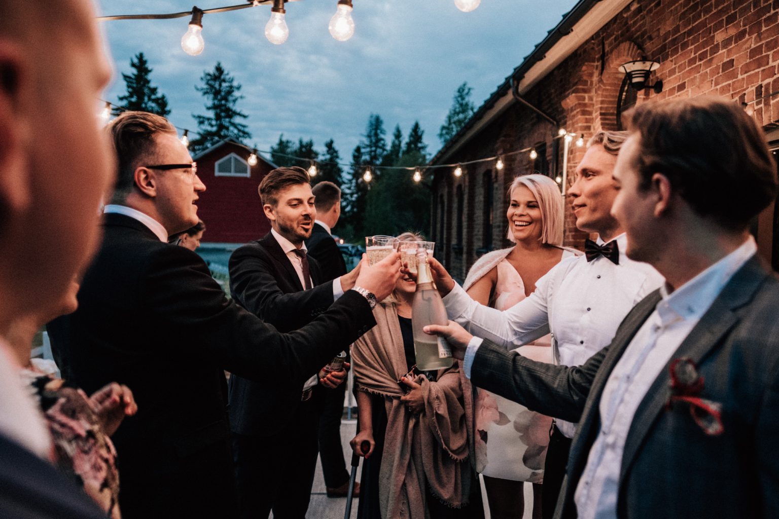 Varpu & Touko's midsummer wedding