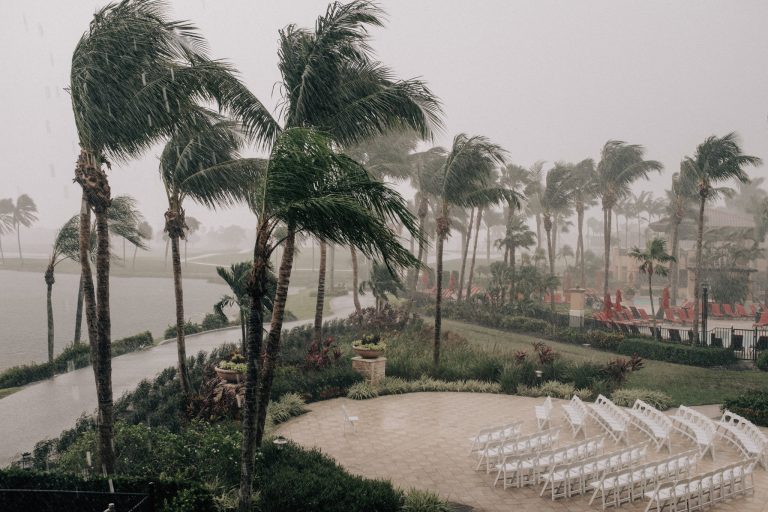 palm beach gardens wedding photography