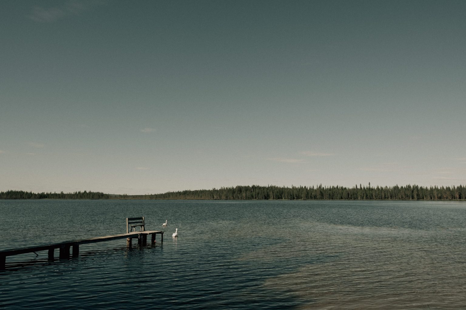 Lapland Wedding