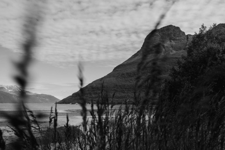 one week van life around lofoten