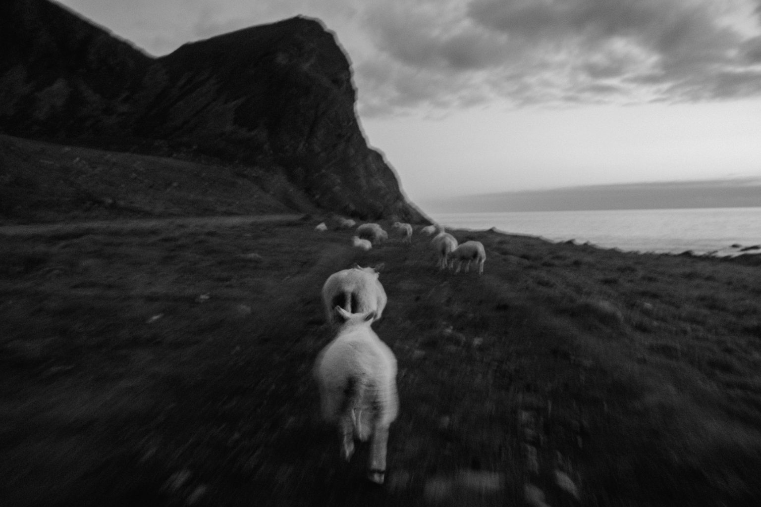 one week van life around lofoten