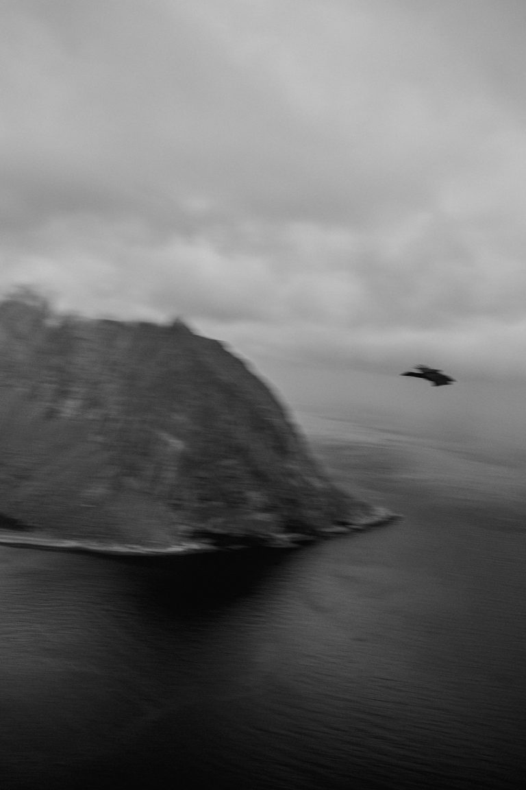 one week van life around lofoten