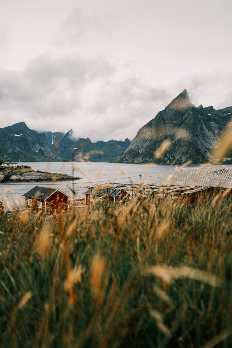 one week van life around lofoten