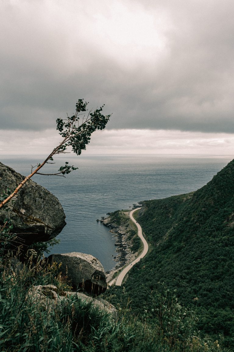 one week van life around lofoten